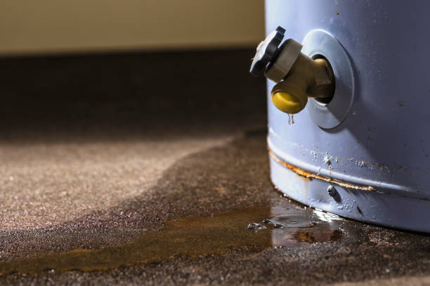 Best Water damage cleanup near me  in Lebanon, IN