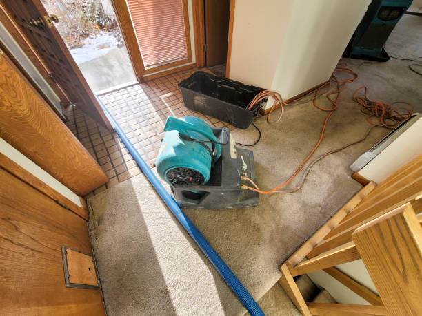 Best Carpet water damage restoration  in Lebanon, IN