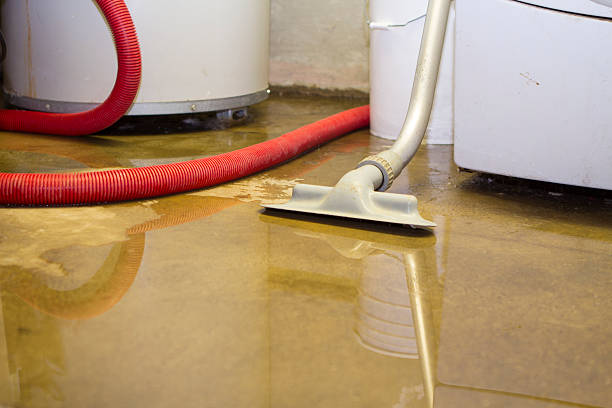Best 24/7 water damage repair  in Lebanon, IN