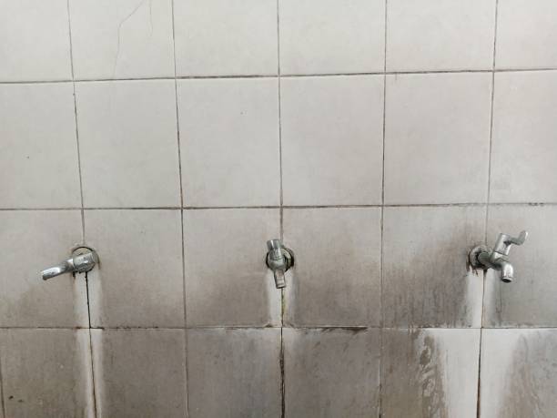 Best Water damage restoration near me  in Lebanon, IN