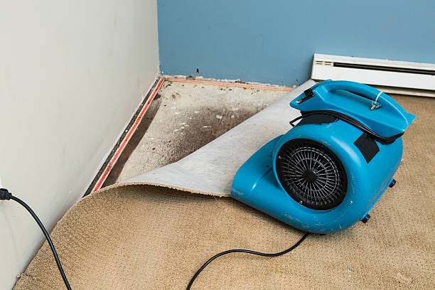 Best Local water damage restoration  in Lebanon, IN